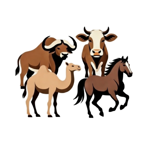 Animal जानवर