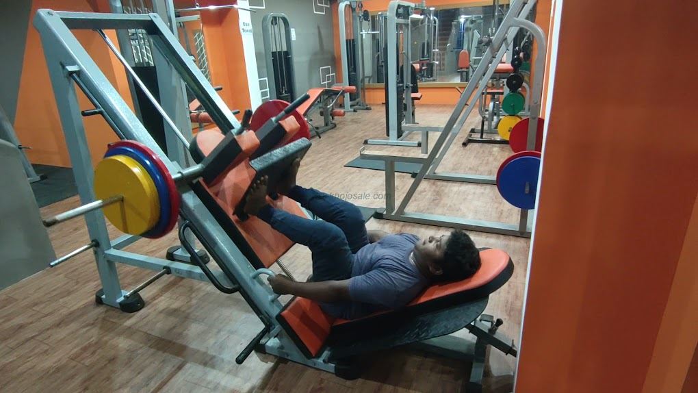 Aesthetic Fitness Factory