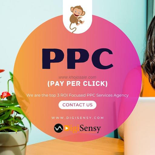 Digisensy - Best Digital Marketing & SEO Agency In Lucknow