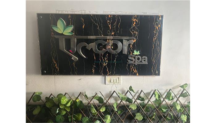 Alcor SPA - Model Town - Delhi