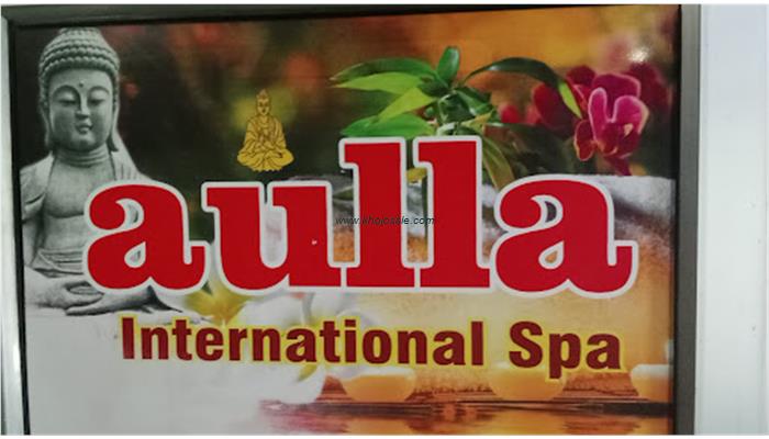 Aulla International Spa