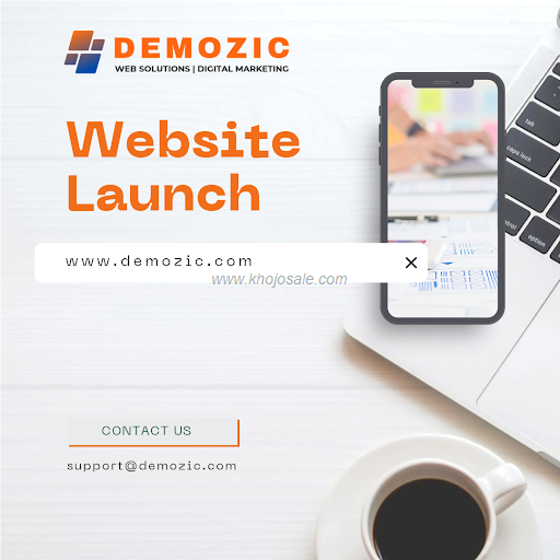 Demozic Web Solutions