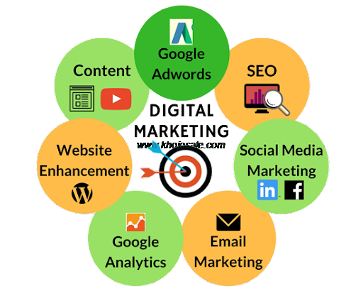 Digital Global India | Website Designer In Greater Noida