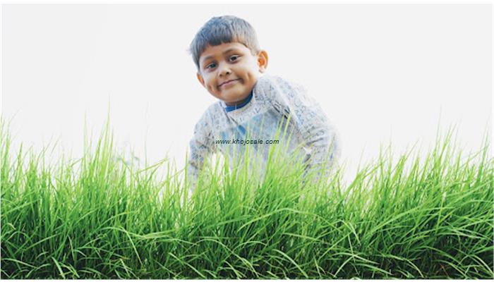 Patle Photo Studio Lalburra