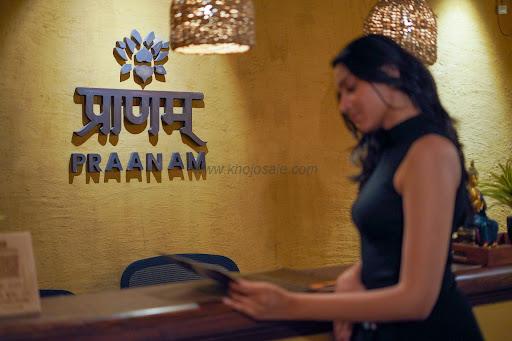 Praanam Spa By Ojasva Wellness