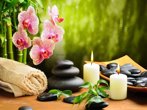 Shuddhi Wellness Centre