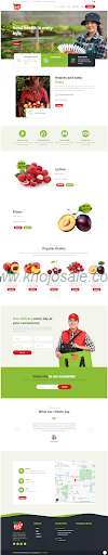 Technoserve Digital Solutions