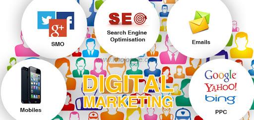 Trafico Analytica | Digital Marketing Company In Lucknow