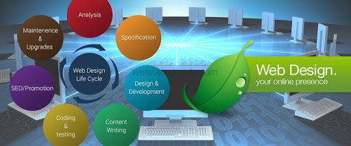 Website Designing Company In Delhi